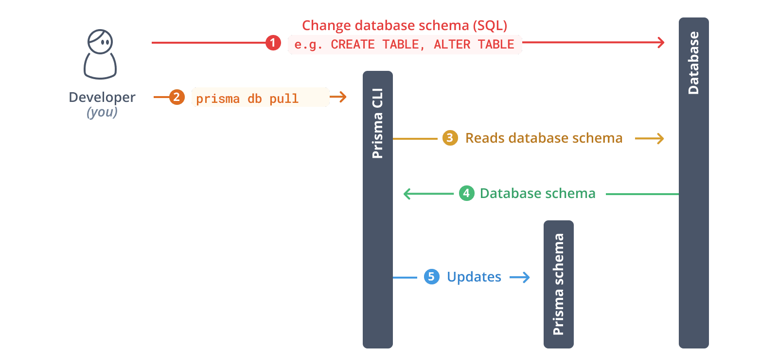 Prisma로 데이터베이스 introspect하기