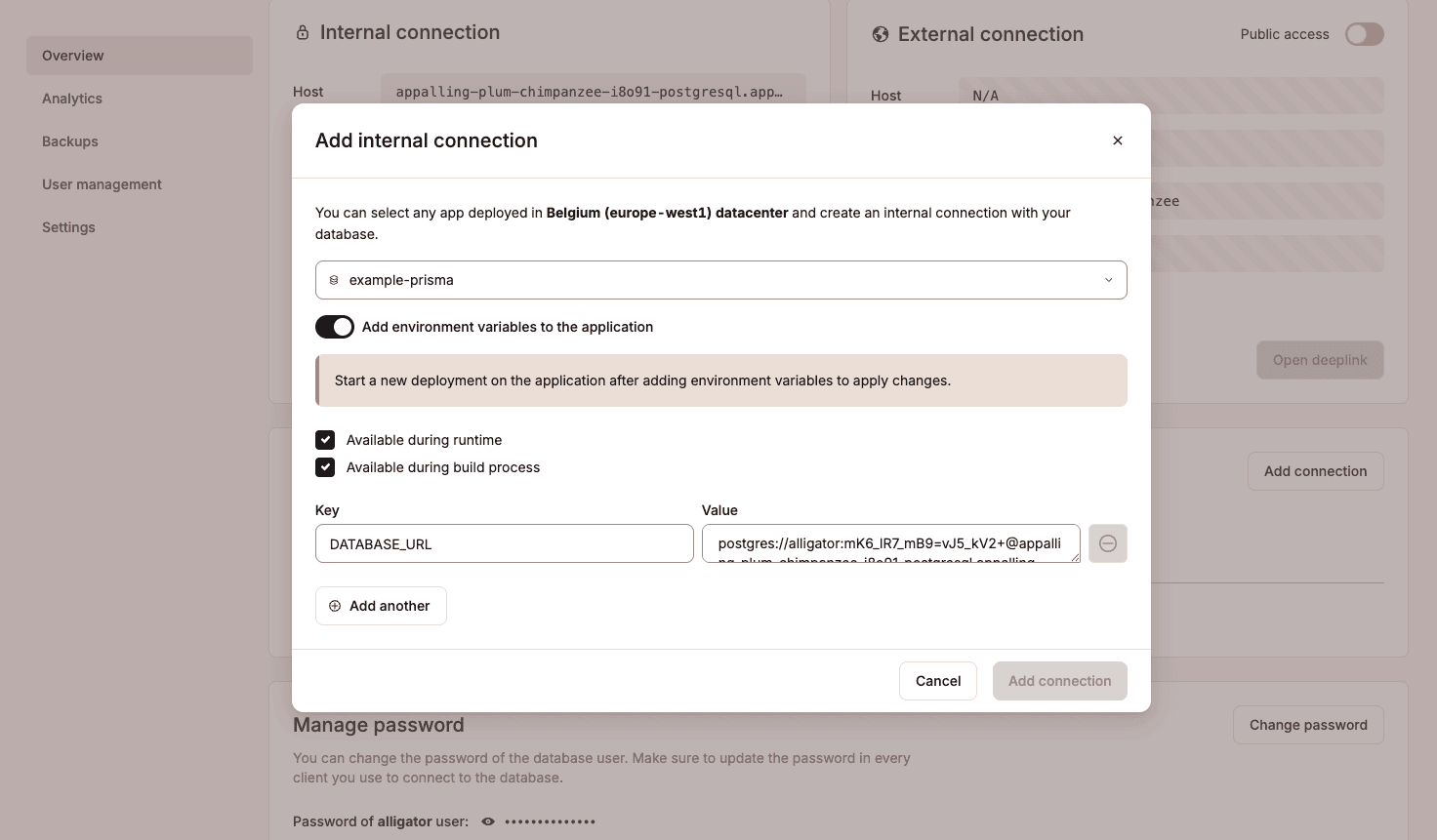 App internal connection interface in Sevalla